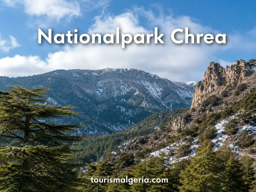 CHREA NATIONAL PARK IN ALGERIEN